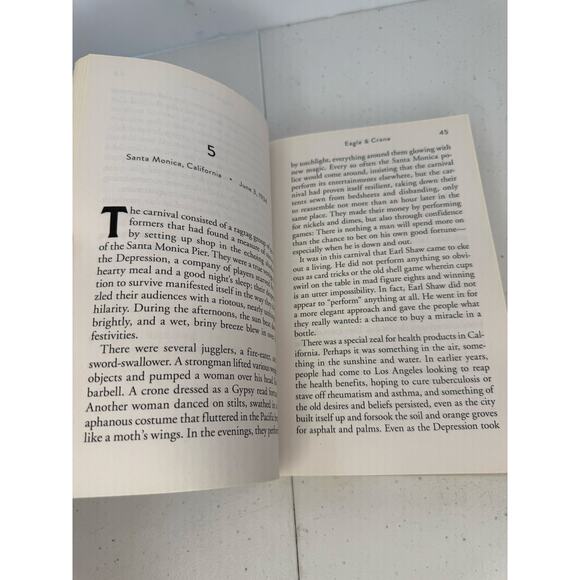 Eagle & Crane Novel by Suzanne Rindell Paperback Large Print - Picture 4 of 4